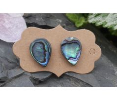 Abalone paua perleť náušnice puzety chirurgická ocel, novozélandská mušle