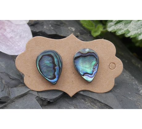 Abalone paua perleť náušnice puzety chirurgická ocel, novozélandská mušle