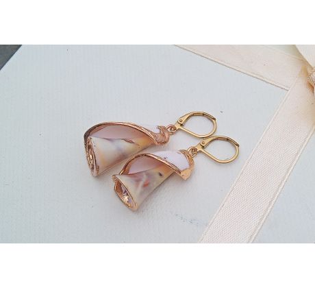 Vzácné mušle Filipíny náušnice na pozlacené chirurgické oceli