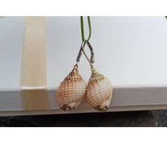 Mušle z Filipín náušnice na chirurgické oceli