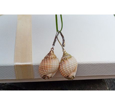 Mušle z Filipín náušnice na chirurgické oceli