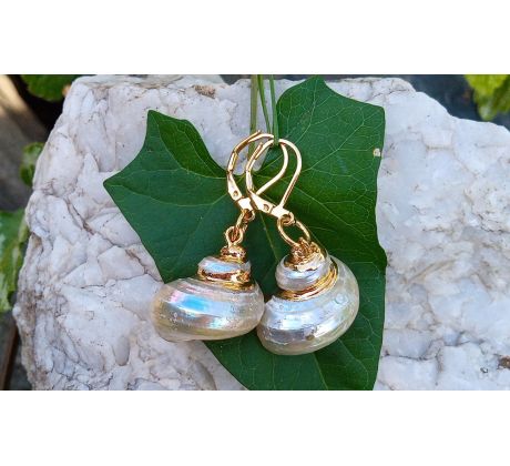 Perleťově duhové mušle pozlacené náušnice na chirurgické oceli