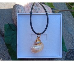 Duhová zlatavá mušle z Tichého oceánu přívěsek, náhrdelník