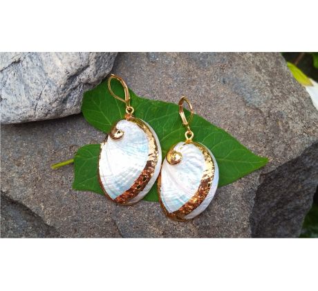 Tichomořské perleťové mušle náušnice na pozlacené chirurgické oceli