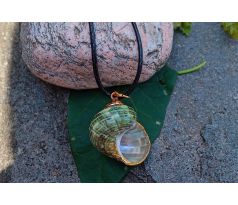 Tichomořská vzácná pozlacená mušle romantický náhrdelník