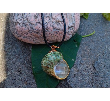 Tichomořská vzácná pozlacená mušle romantický náhrdelník