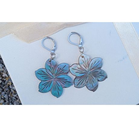 Abalone paua perleť květinky náušnice na chirurgické oceli