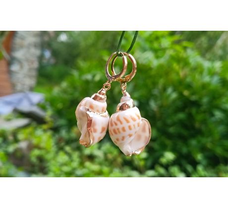 Tichomořské mušle pozlacené romantické náušnice