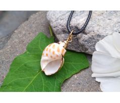 Tichomořská pozlacená mušle elegantní přírodní náhrdelník