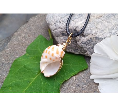 Tichomořská pozlacená mušle elegantní přírodní náhrdelník