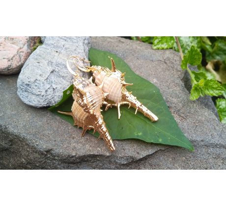 Velké mušle lastury z Filipín pozlacené náušnice