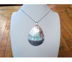 Abalone paua Novozélandská perleť přívěsek na řetízku z chirurgické oceli