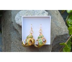 Jihomořské zelené mušle pozlacené náušnice