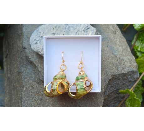 Jihomořské zelené mušle pozlacené náušnice