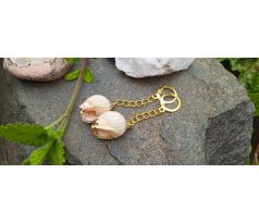 Béžové mušle - pozlacené náušnice