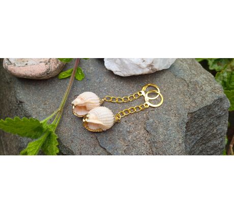 Béžové mušle - pozlacené náušnice