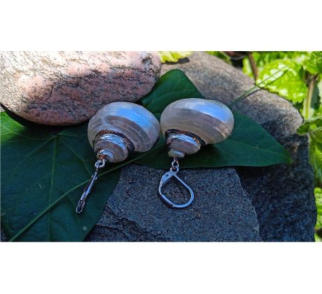 Perleťově duhové mušle náušnice na chirurgické oceli