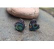 Abalone paua shell perleť náušnice puzety na chirurgické oceli