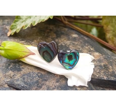 Abalone paua shell perleť náušnice puzety na chirurgické oceli