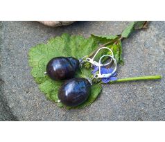 Tahitské 2 cm velké perly perlové náušnice na chirurgické oceli