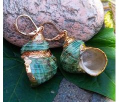 Tichomořské zelené mušle náušnice na pozlacené chirurgické oceli