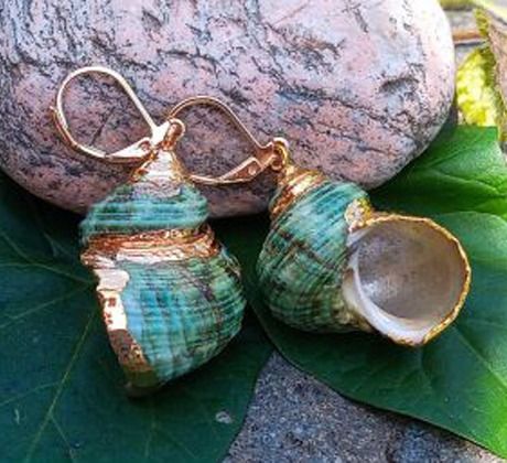 Tichomořské zelené mušle náušnice na pozlacené chirurgické oceli