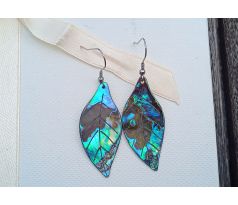 Abalone paua shell mušle vyřezané listy náušnice na chirurgické oceli