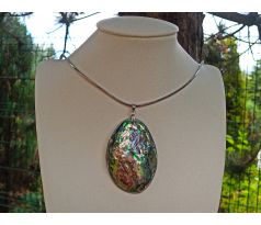 Abalone paua mušle přívěsek na řetízku z chirurgické oceli, náhrdelník