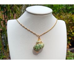 Tichomořská vzácná mušle na řetízku z pozlacené chirurgické oceli