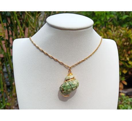 Tichomořská vzácná mušle na řetízku z pozlacené chirurgické oceli